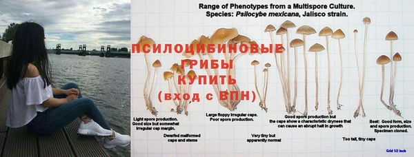 2c-b Арсеньев